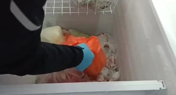 Samsun merkezli silah ve mermi operasyonu: Dondurucuda silah ele ge&ccedil;irildi
