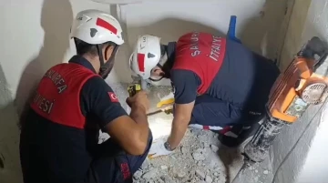 Şanlıurfa&rsquo;da itfaiyeden civciv operasyonu
