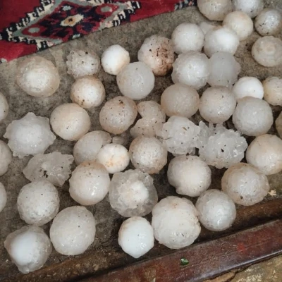 Şanlıurfa&rsquo;da kar topu b&uuml;y&uuml;kl&uuml;ğ&uuml;nde dolu yağdı: Ekili araziler ve ara&ccedil;lar zarar g&ouml;rd&uuml;
