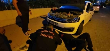 Şanlıurfa&rsquo;da otomobilin motor kısmına sıkışan kedi operasyonla kurtarıldı
