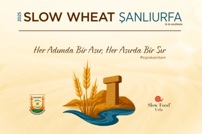 Şanlıurfa'da Uluslararası Buğday Festivali