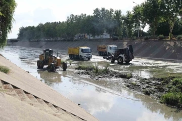 Sarı&ccedil;am deresi temizleniyor
