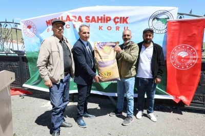 Sarıkamış&rsquo;ta korunga tohumu dağıtıldı
