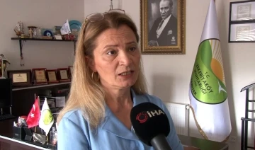 Sarıyer&rsquo;deki elektrik dalgalanmaları esnafı &ccedil;ileden &ccedil;ıkardı: "Elektrik yetmiyor a&ccedil;ık&ccedil;ası bezdik"
