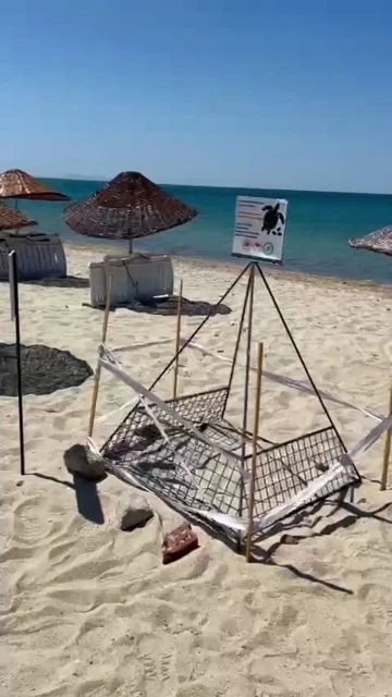 Saros K&ouml;rfezi&rsquo;nde yavru caretta carettalara koruma
