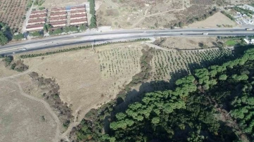 Şehzadeler&rsquo;e yeni piknik alanı m&uuml;jdesi
