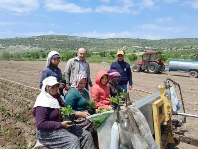 Selendi CHP tarlada &ccedil;alışan anneleri yalnız bırakmadı
