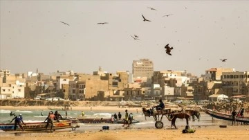 Senegal'de ekmeğini denizden &ccedil;ıkaranlar; geleneksel balık&ccedil;ılar