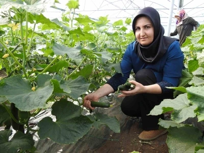 Seracı kadınlar g&uuml;nl&uuml;k 500 kilo &uuml;r&uuml;n alıyor
