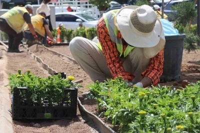 Seralarda yetiştirilen &ccedil;i&ccedil;ekler Şanlıurfa&rsquo;yı g&uuml;zelleştirecek
