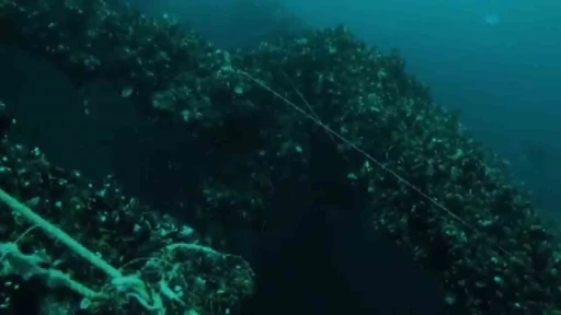 Serbest dalış&ccedil;ı, 1991 yılında İstanbul Boğazı&rsquo;nda batan gemiyi g&ouml;r&uuml;nt&uuml;ledi
