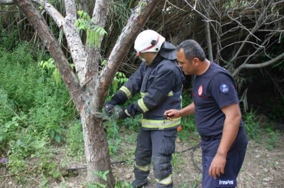 Serik&rsquo;te ağlara dolanan yılanı itfaiye kurtardı
