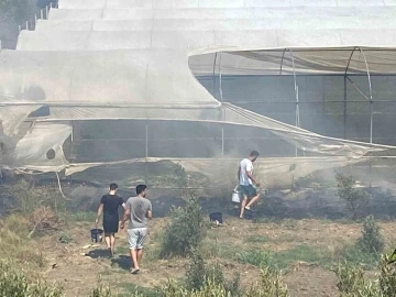 Serik&rsquo;te korkutan yangında seralar zarar g&ouml;rd&uuml;
