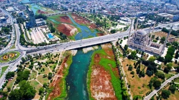 Seyhan Nehri&rsquo;ni kaplayan yosunlar insan boyunu ge&ccedil;ti, k&ouml;t&uuml; koku kenti kapladı
