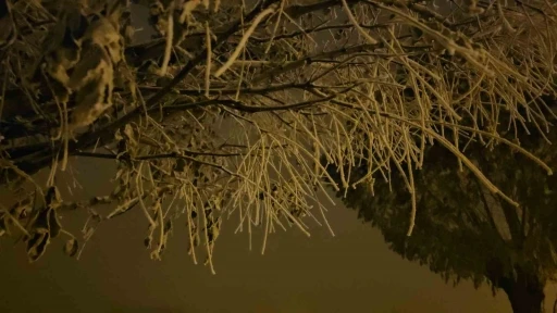 Sibirya soğuklarının başladığı Bitlis&rsquo;te ara&ccedil;lar naylon brandalarla sarıldı
