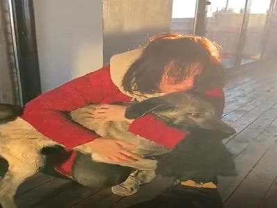 Şiddet g&ouml;ren k&ouml;peğin ileri tedavisi Bursa'da yapılacak