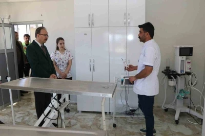 Siirt&rsquo;te sahipsiz hayvanlar bu merkezde g&uuml;venli şekilde yaşamlarını s&uuml;rd&uuml;r&uuml;yor

