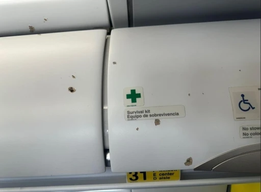 Silahlı saldırıya uğrayan yolcu u&ccedil;ağı Dominik Cumhuriyeti&rsquo;ne acil iniş ger&ccedil;ekleştirdi
