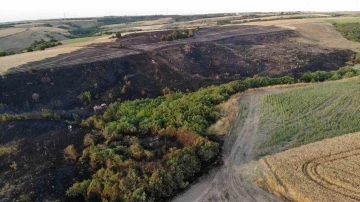 Silivri&rsquo;de 30 d&ouml;n&uuml;ml&uuml;k buğday tarlası k&uuml;le d&ouml;nd&uuml;
