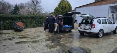 Silivri&rsquo;de satışa hazır 306 at eti yakalandı