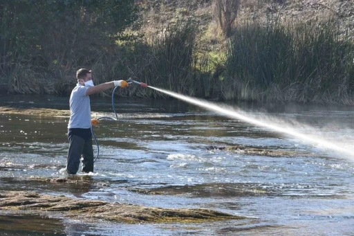 Simillium ile m&uuml;cadelede y&uuml;zde 95 başarı yakaladı
