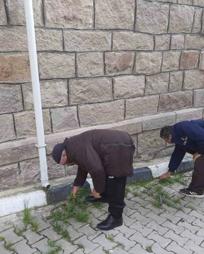 Sinanpaşa&rsquo;da camiler i&ccedil;in el ele verildi
