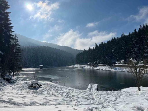 Sinop&rsquo;ta 2024 Yılı Doğa Koruma &ccedil;alışmaları
