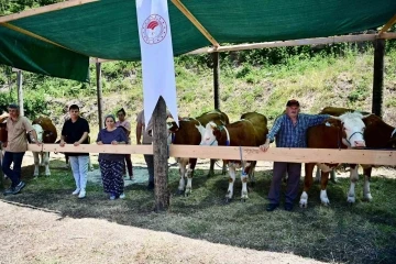 Sinop&rsquo;ta 265 k&ouml;yl&uuml;ye 40 milyon TL ferdi kredi desteği
