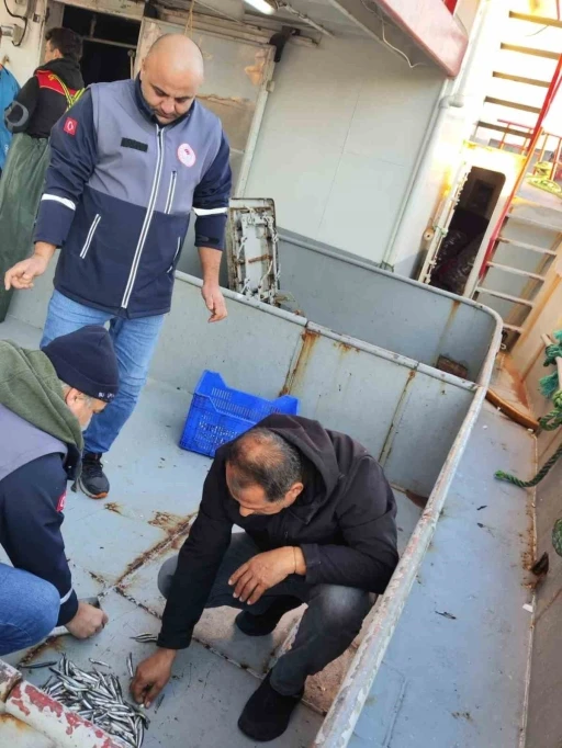 Sinop&rsquo;ta 40 ton hamsiye el konuldu
