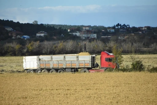 Sinop&rsquo;ta &ccedil;eltik hasadı sona erdi
