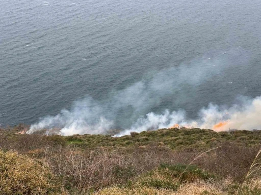 Sinop&rsquo;ta &ouml;rt&uuml; yangını: 20 d&ouml;n&uuml;m alan zarar g&ouml;rd&uuml;

