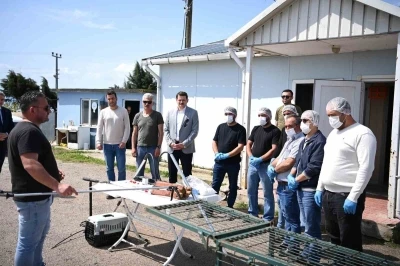 Sinop&rsquo;ta sahipsiz hayvanların toplanmasına y&ouml;nelik eğitim
