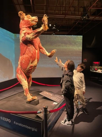 Sıradışı serginin s&uuml;resi uzatıldı