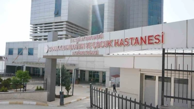 Şırnak&rsquo;ın ebeleri anneliği anlattı
