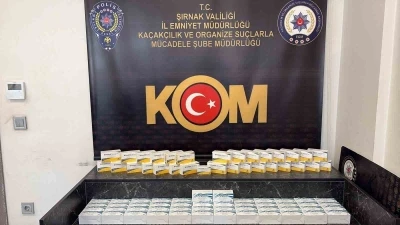 Şırnak&rsquo;ta ka&ccedil;ak ila&ccedil; ve serum operasyonu