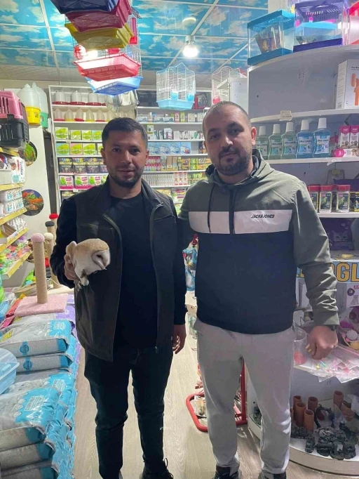 Şırnak&rsquo;ta yaralı olarak bulunan kuşlar tedavi altına alındı
