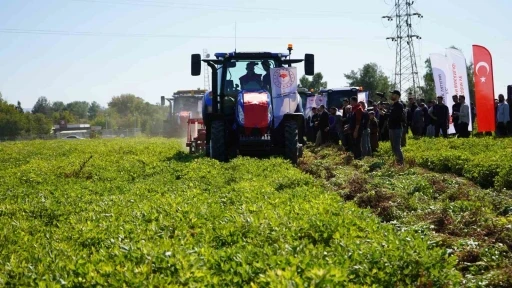 Şırnak&rsquo;ta yer fıstığı hasadına başlandı
