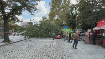 Şişli'de park halindeki otomobilin &uuml;zerine ağa&ccedil; devrildi
