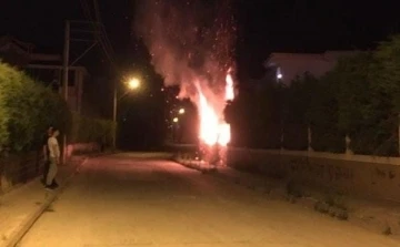 Site bah&ccedil;esindeki ağa&ccedil;ları ateşe verdiler