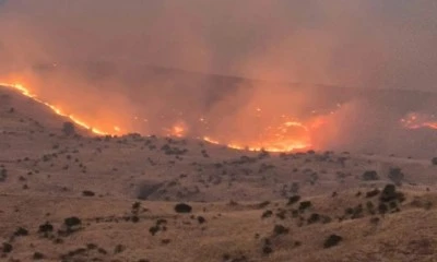Sivas&rsquo;ta &ouml;rt&uuml; yangınına ekiplerin m&uuml;dahalesi s&uuml;r&uuml;yor