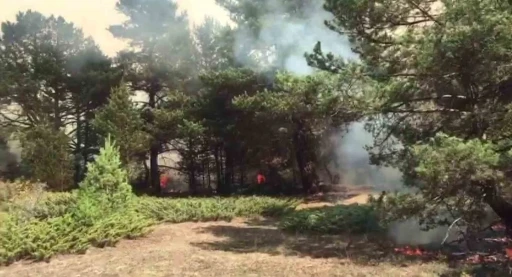 Sivas&rsquo;ta &ouml;rt&uuml; yangınına m&uuml;dahale s&uuml;r&uuml;yor
