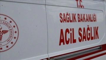 Sivas'ta k&ouml;peğin saldırısına uğrayan kadın yaralandı