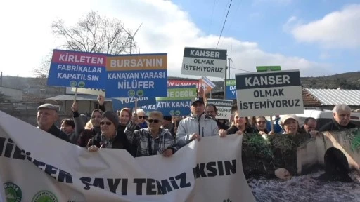 Bursalılar Nil&uuml;fer &Ccedil;ayı i&ccedil;in eylemde