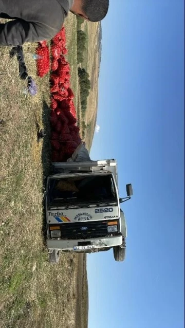 Soğan y&uuml;kl&uuml; kamyon devrildi: 1 yaralı
