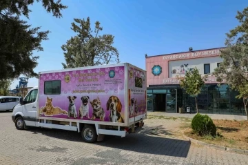 Sokak hayvanları i&ccedil;in mobil kısırlaştırma aracı hizmete alındı
