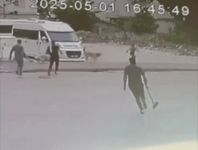 Sokak  k&ouml;pekleri &ccedil;ocuğa saldırdı