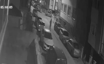 Sokak &uuml;zerindeki ara&ccedil;ları tek tek &ccedil;izdi
