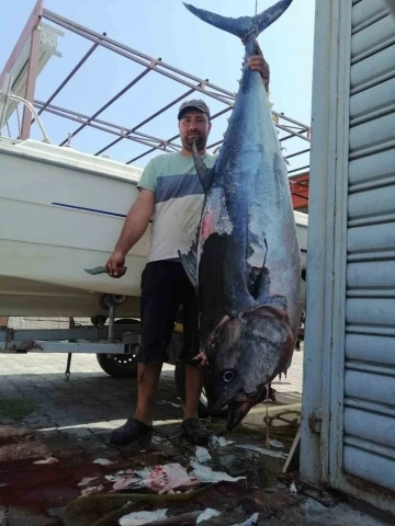 S&ouml;ke&rsquo;de amat&ouml;r balık&ccedil;ının yakaladığı dev mavi y&uuml;zge&ccedil;li orkinos kayıt altına alındı
