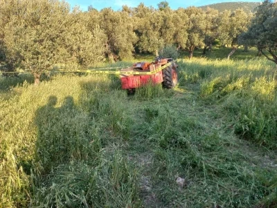 Soma&rsquo;da 6 g&uuml;nd&uuml;r aranan Alzheimer hastası adamdan acı haber
