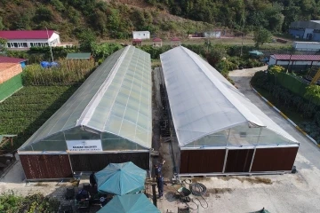 Son teknolojik seralarda &uuml;retim yapıyorlar
